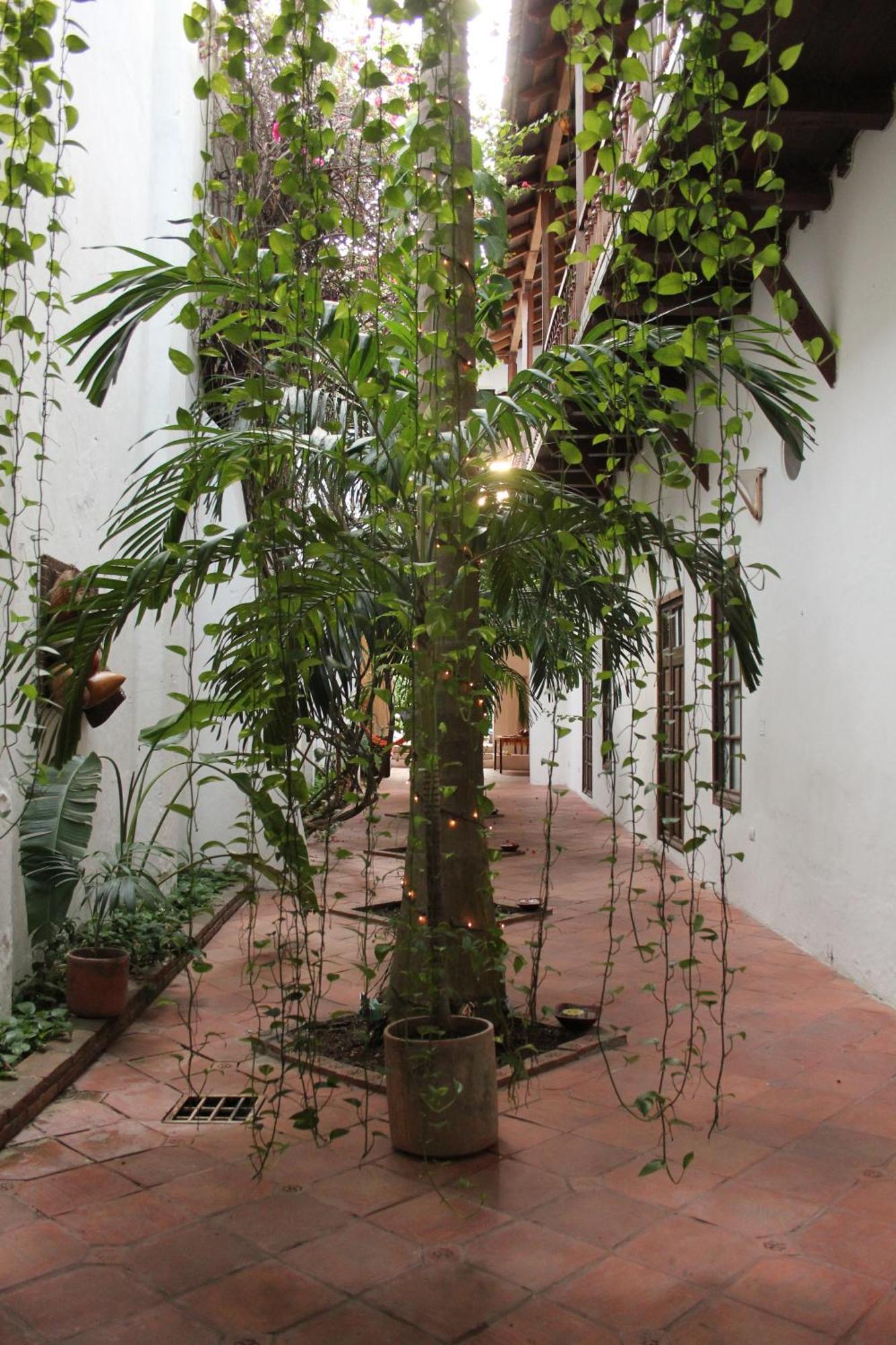 Casa Del Tejadillo Hotel Cartagena ภายนอก รูปภาพ